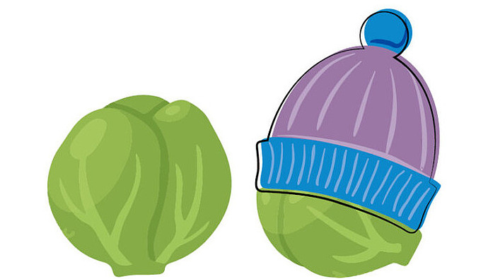 Zeichnung Rosenkohl mit einer Mütze