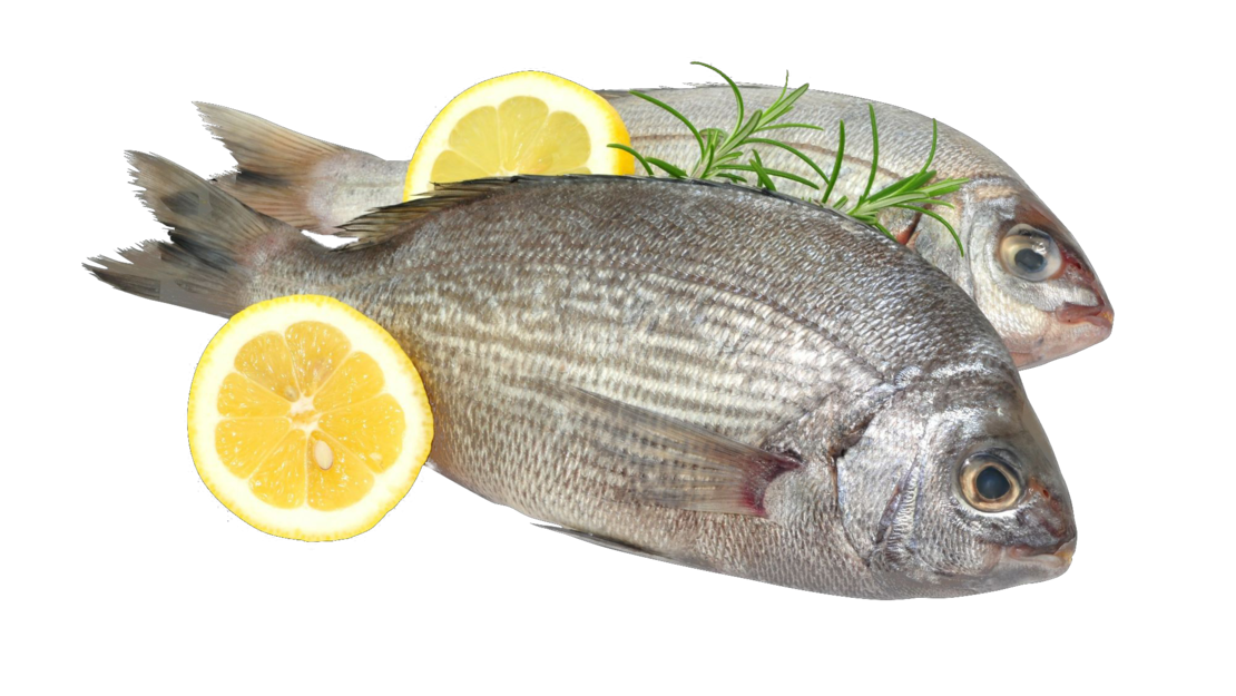 Zwei Fische mit Zitronenscheiben