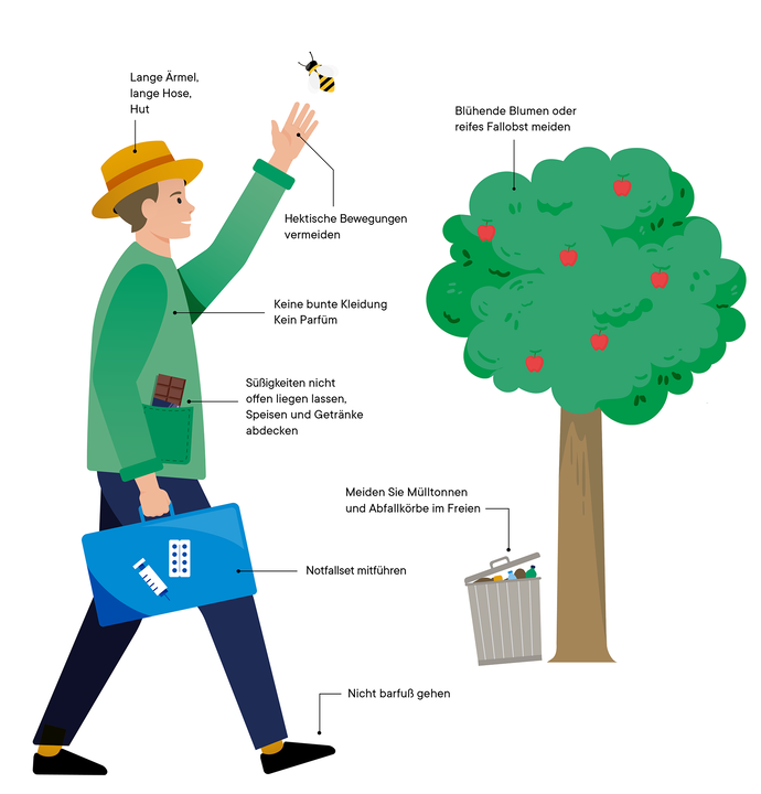 Eine Person mit Hut winkt einer Biene in der Nähe eines Apfelbaums mit Fallobst zu. Er trägt einen Erste-Hilfe-Kasten bei sich und befolgt die Sicherheitstipps zur Vermeidung von Insektenstichen, die mit Symbolen und kurzen Anweisungen auf Deutsch illustriert sind.
