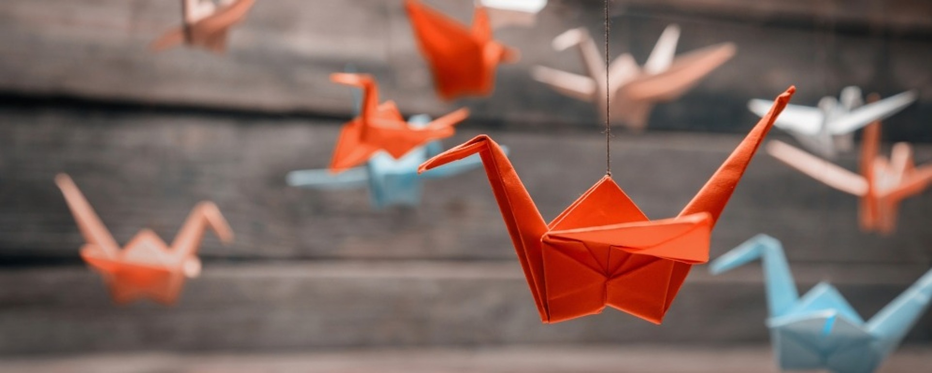 Mehrere bunte Origami-Kraniche, meist orange und blau, hängen an Schnüren vor einem rustikalen Holzhintergrund. Die Kraniche scheinen in der Luft zu schweben.