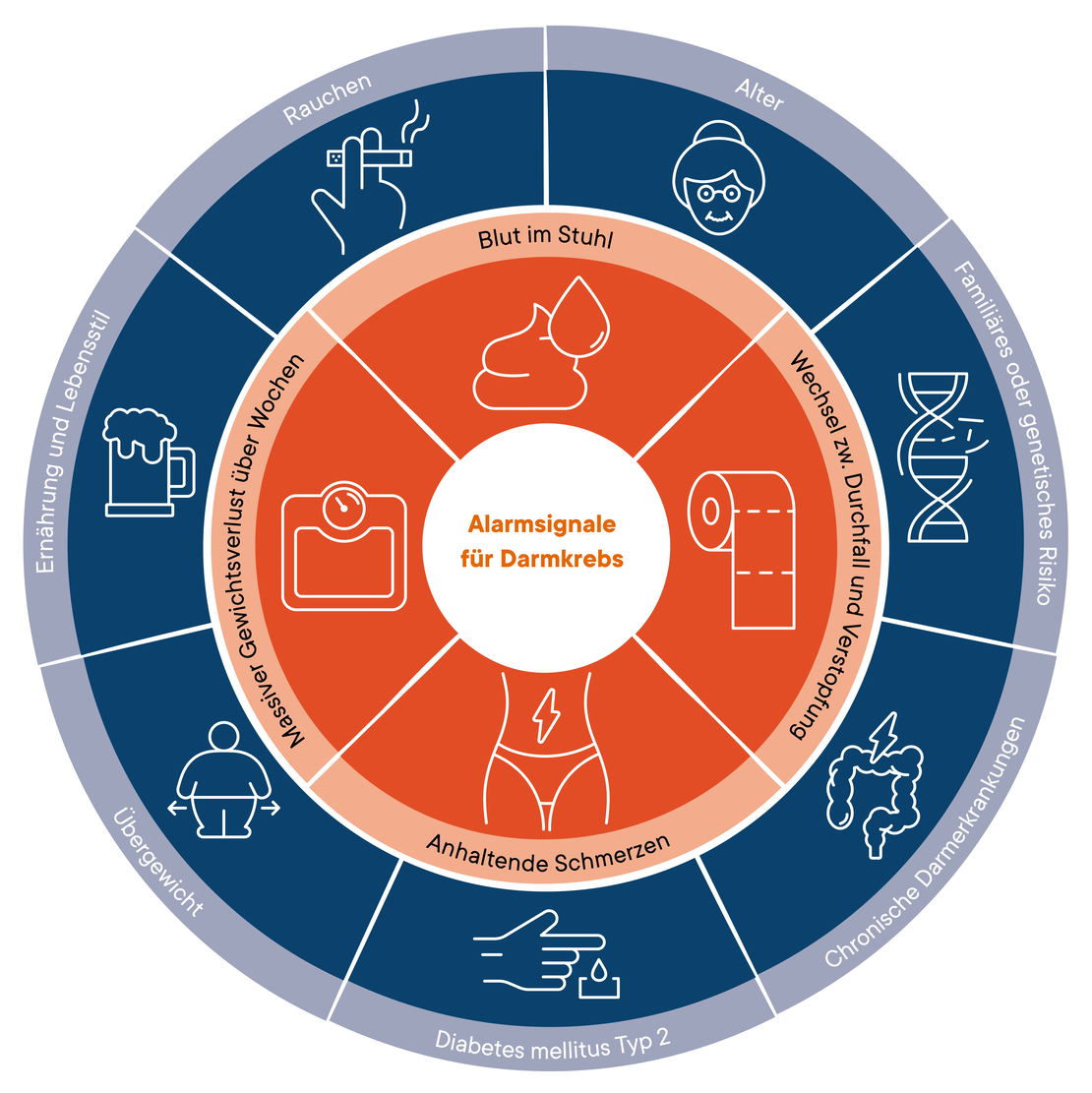 Illustration Risikofaktoren für Darmkrebs