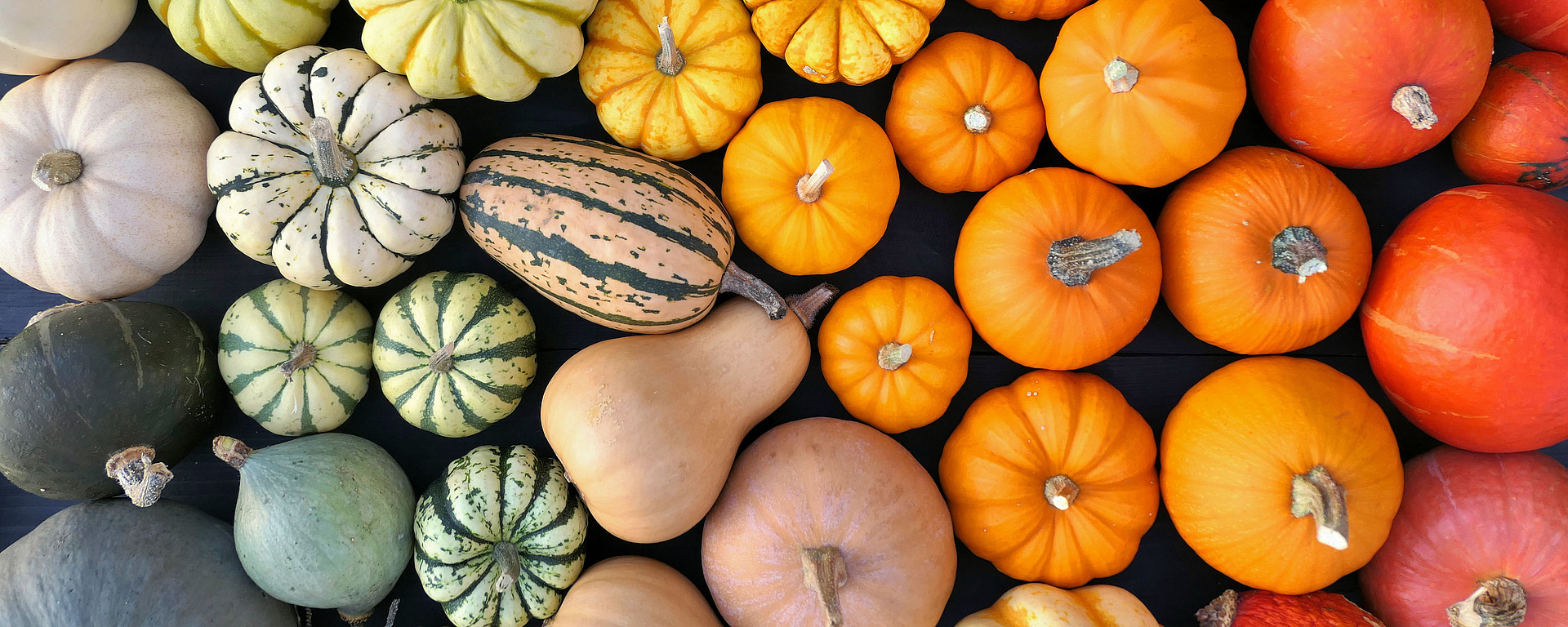 Ein Sortiment von Kürbissen und Kürbissen in verschiedenen Formen, Größen und Farben, die auf einer ebenen Fläche angeordnet sind. In der oberen rechten Ecke befindet sich eine Sprechblase mit dem Text "MACH ES!" und einem Häkchensymbol.