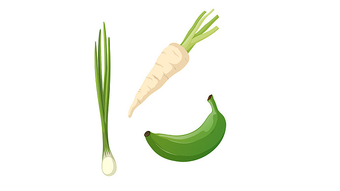 Illustration von drei Gemüsesorten: eine grüne Zwiebel auf der linken Seite, eine weiße Pastinake mit Grünzeug oben und eine grüne Banane unten rechts, alles auf weißem Hintergrund.