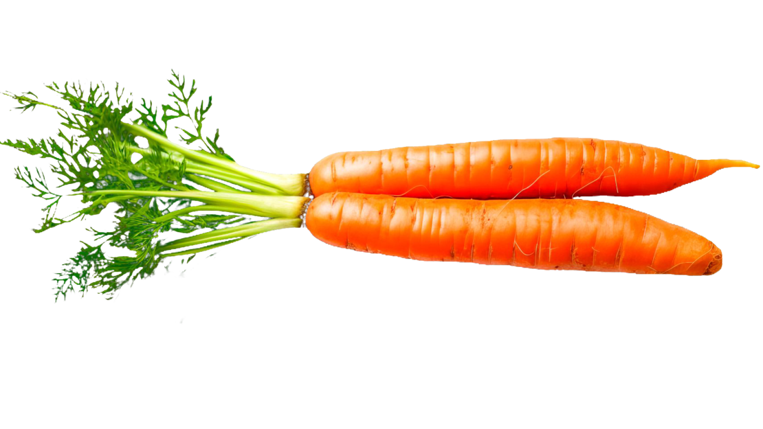 Zwei Karotten mit Grün