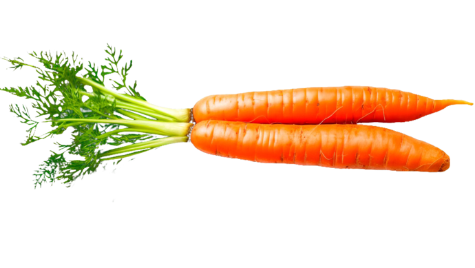 Zwei frische orangefarbene Karotten mit grünen Blattspitzen, die nebeneinander auf einem weißen Hintergrund liegen.