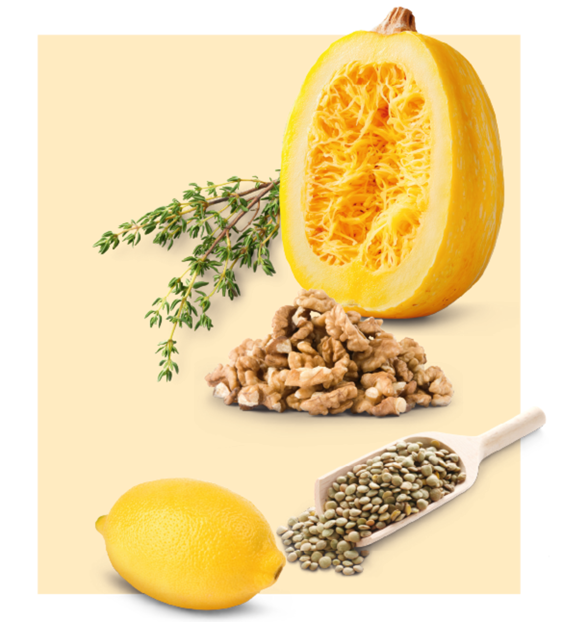 Ein halbierter Spaghettikürbis, ein Bund frischer Thymian, ein Haufen Walnüsse, eine gelbe Zitrone und eine mit grünen Linsen gefüllte Holzschaufel sind auf einem hellen Hintergrund angeordnet.