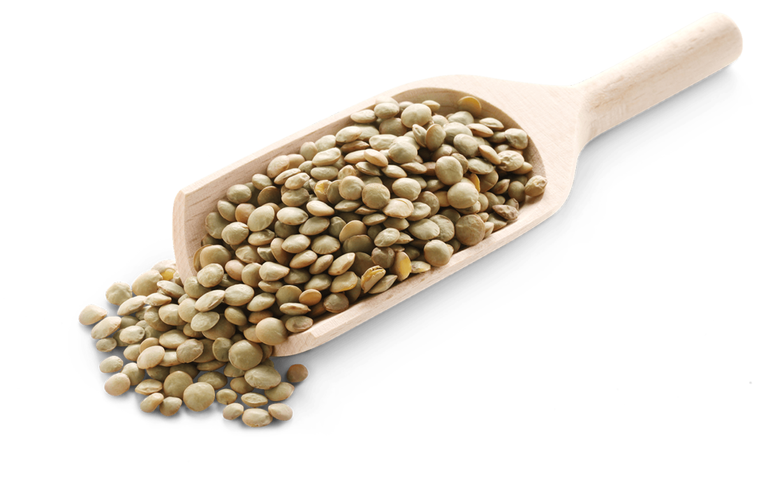 Eine hölzerne Schaufel, gefüllt mit grünen Linsen, wobei einige Linsen auf eine weiße Fläche fallen.