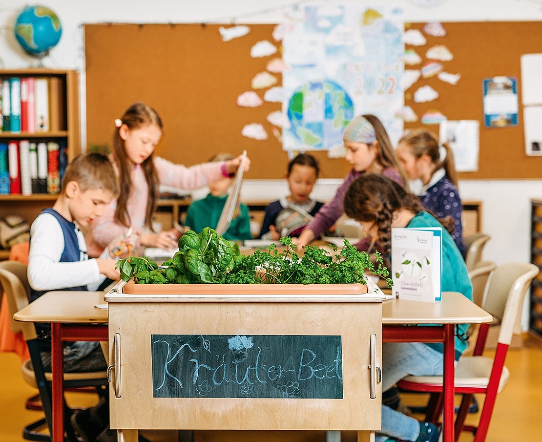 Eine Gruppe von Kindern sitzt um einen Tisch in einem Klassenzimmer und kümmert sich um einen kleinen Kräutergarten mit der Aufschrift "Kräuter-Beet". Im Hintergrund sind Bücherregale und eine Pinnwand zu sehen.