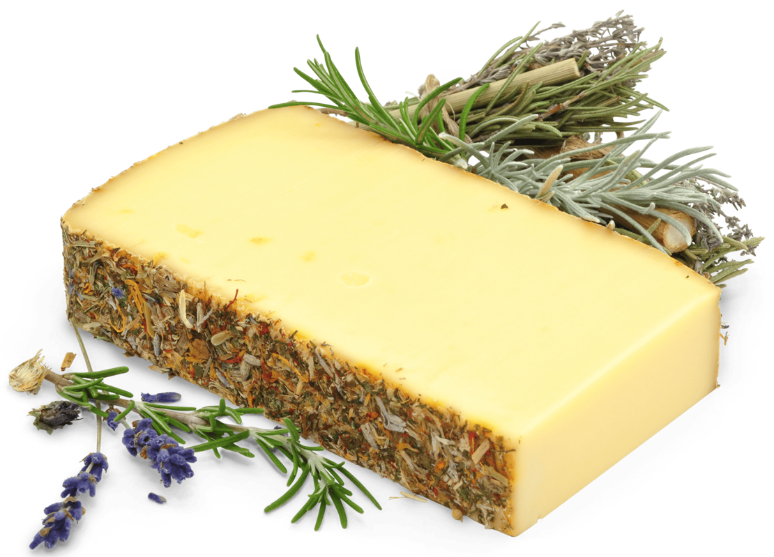 Ein Stück Käse mit einer dicken Rinde, umhüllt von getrockneten Kräutern und Blumen, begleitet von frischen Lavendel-, Rosmarin- und Salbeizweigen auf weißem Grund.