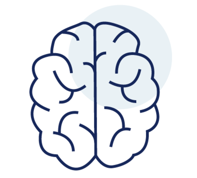 Zeichnung eines Gehirns