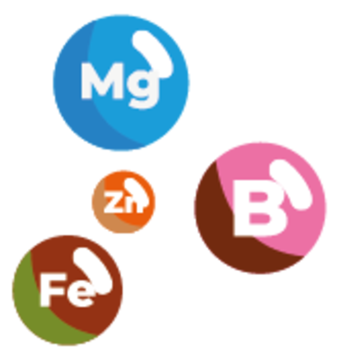 Vier bunte Kreise zeigen die Symbole der chemischen Elemente: "Mg" (blau), "B" (rosa), "Fe" (braun) und "Zn" (orange). Jeder Kreis hat einen weißen, gebogenen Akzent in der oberen rechten Ecke.