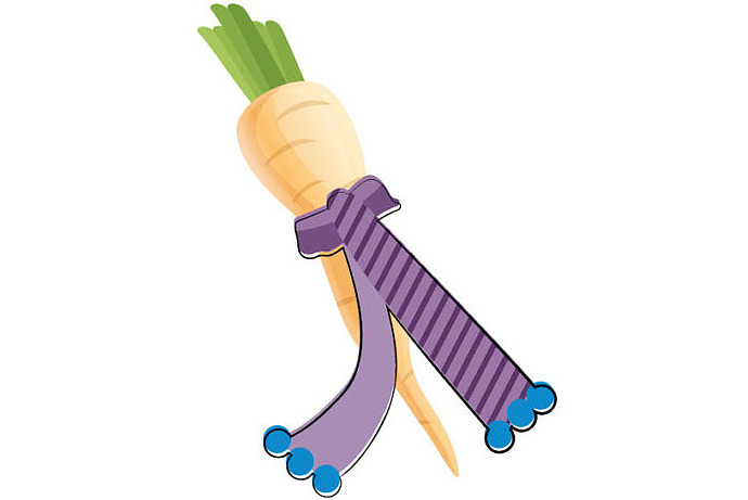 Zeichnung Pastinake mit Schal