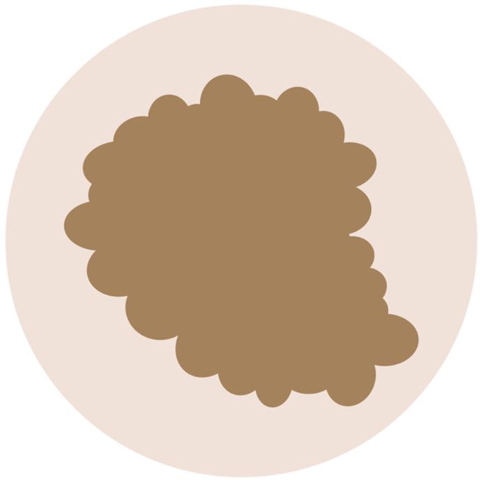 Eine einfache Illustration einer braunen, unregelmäßigen, büschelartigen Form, die auf einem hellbeigen, quadratischen Hintergrund zentriert ist.