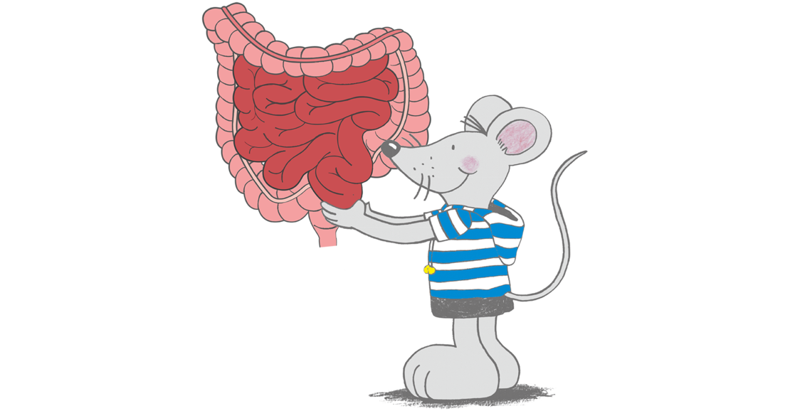 Eine Cartoon-Maus in gestreiftem Hemd und Shorts hält eine große, detaillierte Abbildung des menschlichen Verdauungstrakts hoch.