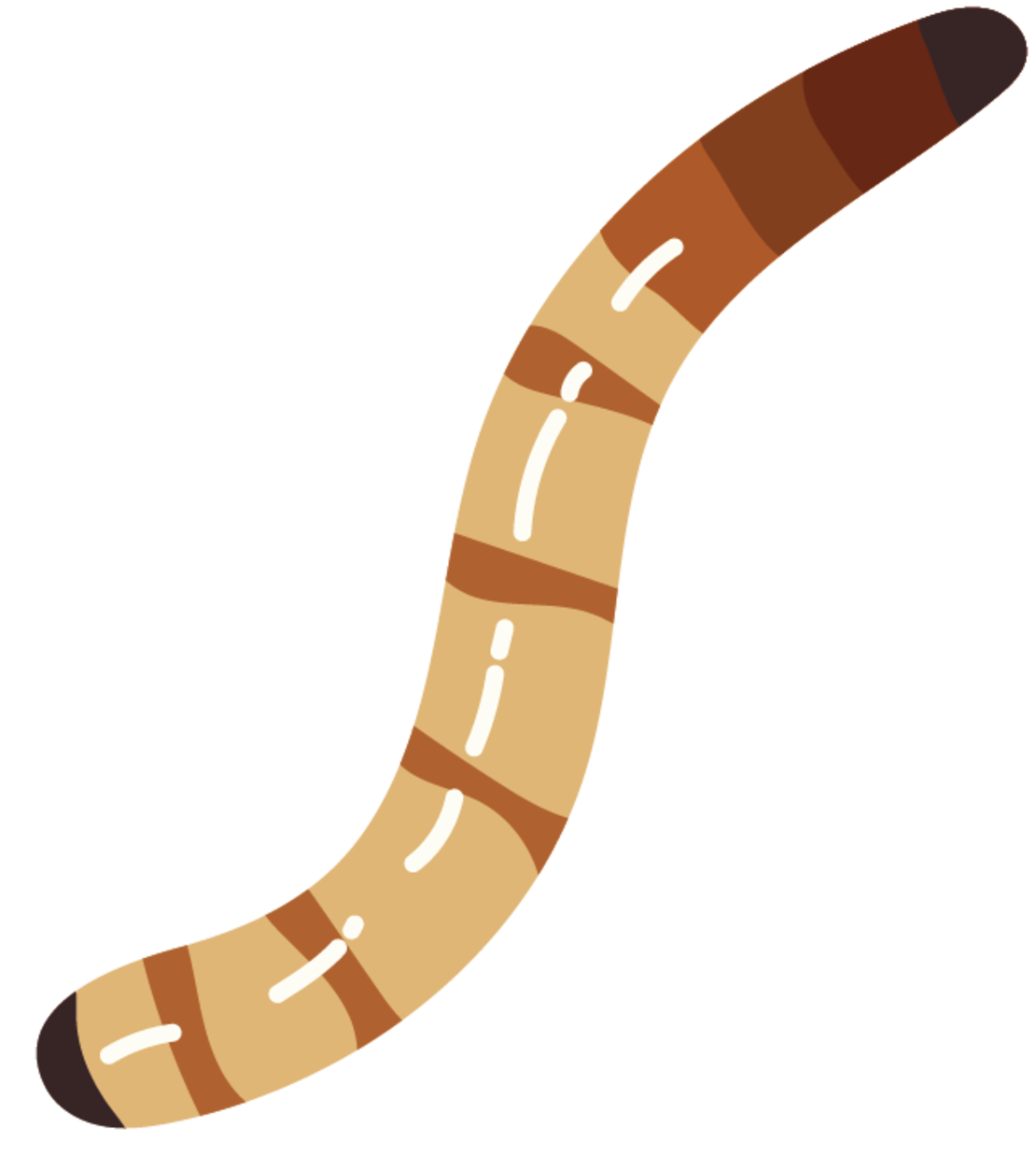 Eine einfache Illustration eines segmentierten, gekrümmten Wurms oder einer Larve mit hellbraunen und dunkelbraunen Streifen entlang des Körpers.