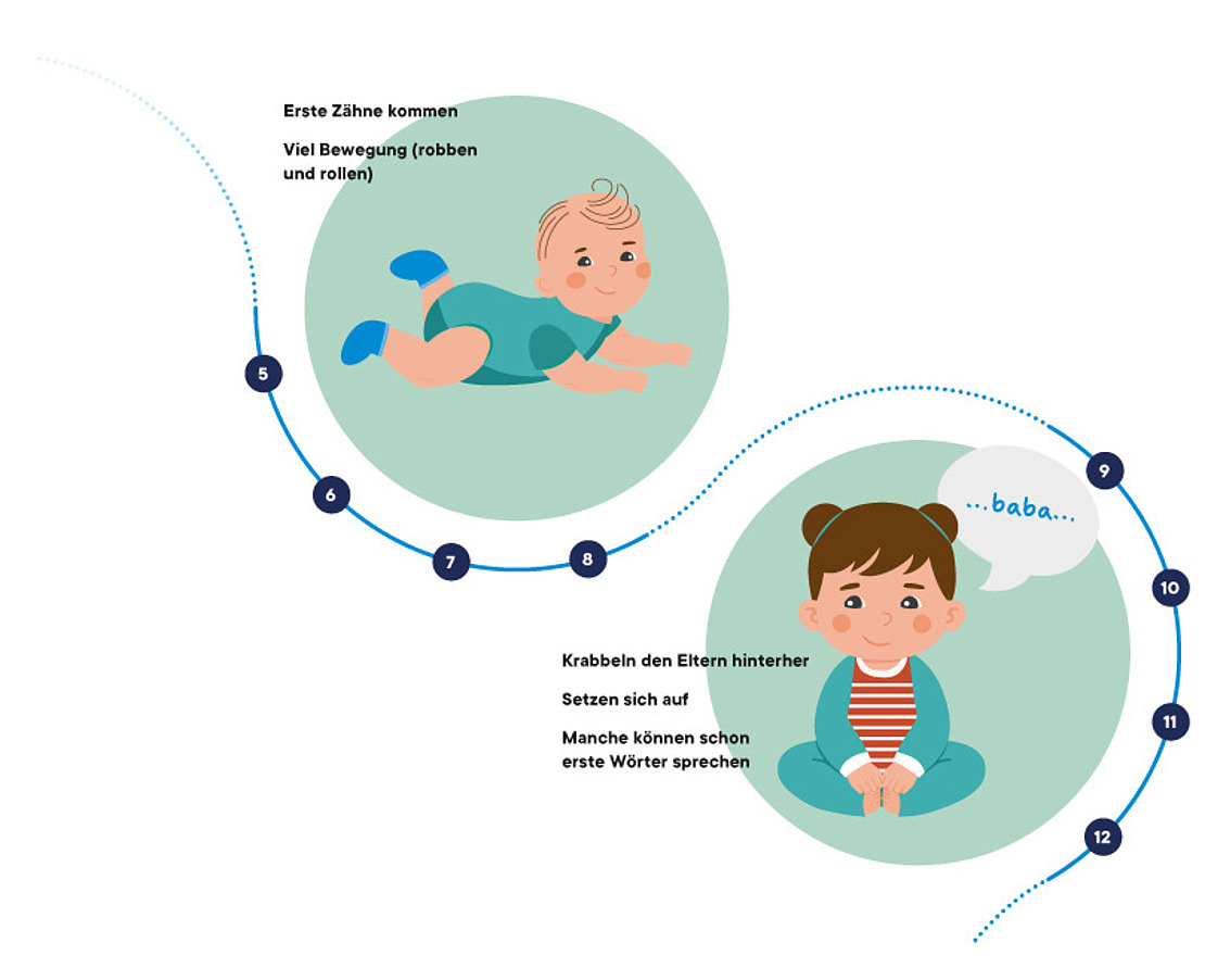Abbildung, die zwei Stadien der Babyentwicklung zeigt: ein krabbelndes Baby (5–8 Monate) und ein sitzendes Kleinkind, das „Baba“ sagt (9–12 Monate), mit Meilensteinen wie Bewegung, Sitzen und ersten Wörtern.