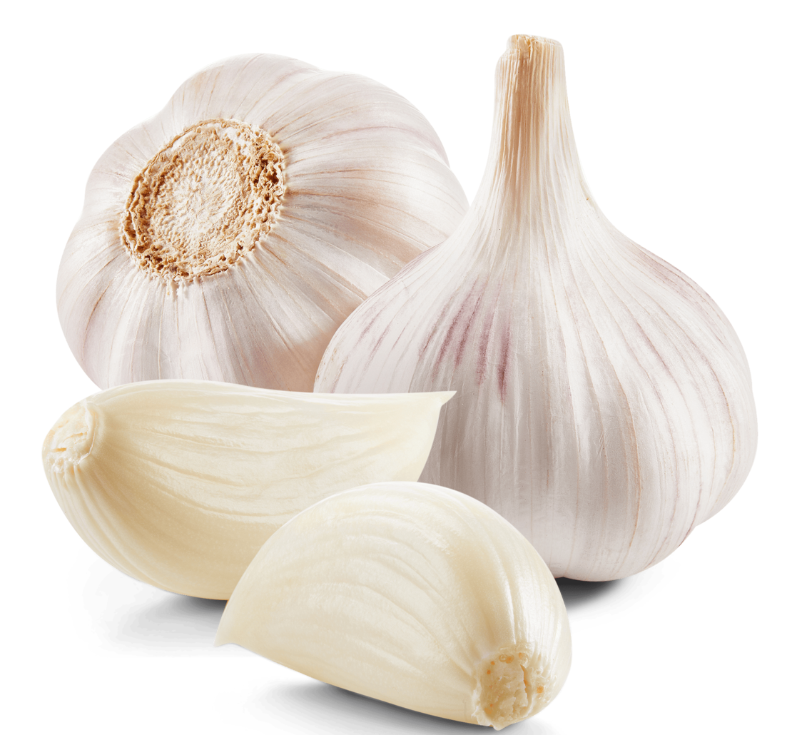 Zwei ganze Knoblauchzwiebeln und zwei geschälte Knoblauchzehen sind auf einem weißen Hintergrund angeordnet. Die Zwiebeln haben eine papierartige, cremefarbene Schale mit leicht violetten Streifen, während die Zehen glatt und cremeweiß sind.