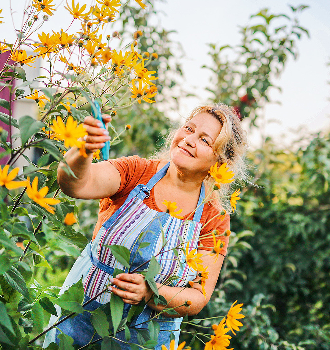 Eine lächelnde Frau in einer Schürze pflegt an einem sonnigen Tag gelbe Blumen in einem üppigen Garten und hält eine Gartenschere und Blätter in der Hand.