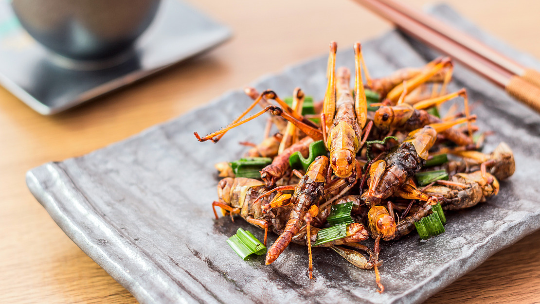 Geröstete Grashüpfer auf einem Teller