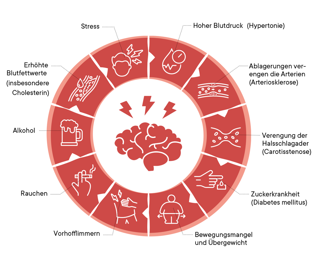 Bildliche Darstellung der Risikofaktoren
