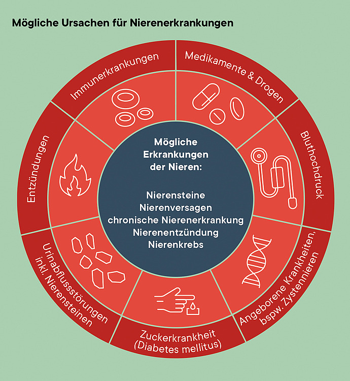 Grafik, die mögliche Ursachen für Nierenerkrankungen beschreibt.