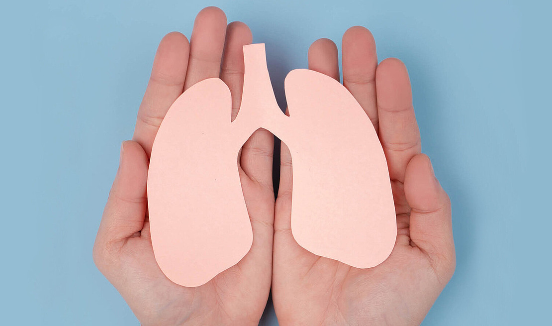 Lunge aus Papier geschnitten liegt in Händen