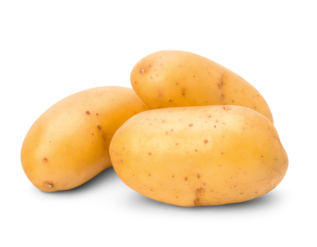 Drei gelbe Kartoffeln mit glatter Schale und kleinen braunen Flecken auf weißem Hintergrund.