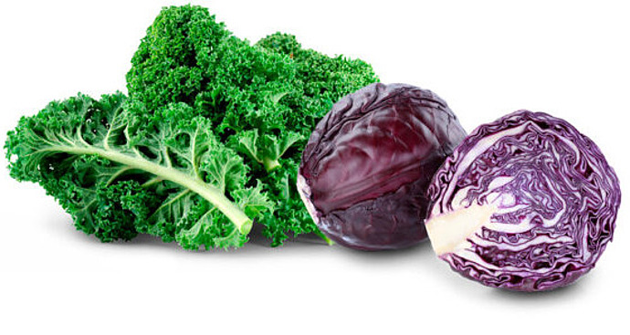 Grünkohl und Rotkohl