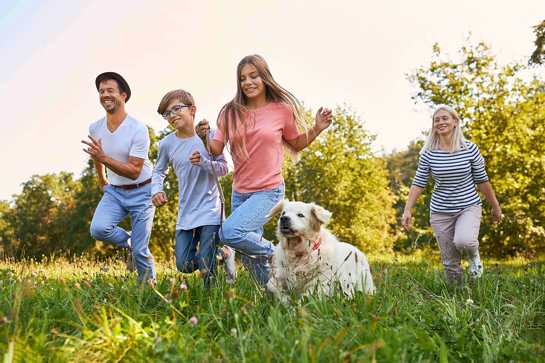 Eine Gruppe von vier Personen und ein Hund laufen an einem sonnigen Tag fröhlich über eine Wiese, die von grünen Bäumen umgeben ist. Alle sehen fröhlich und entspannt aus.
