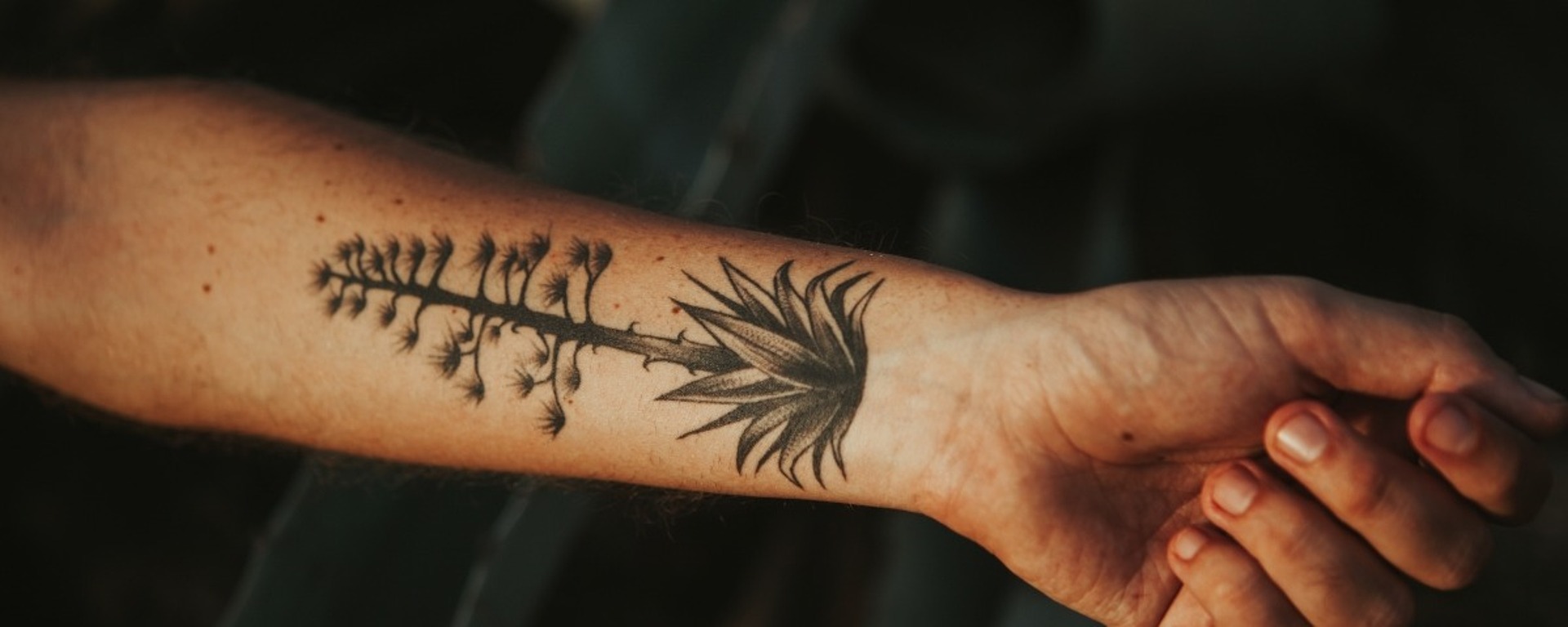 Ein Unterarm mit einem detaillierten Tattoo einer langstieligen Pflanze mit einer Ansammlung kleiner Blüten und spitzer Blätter.