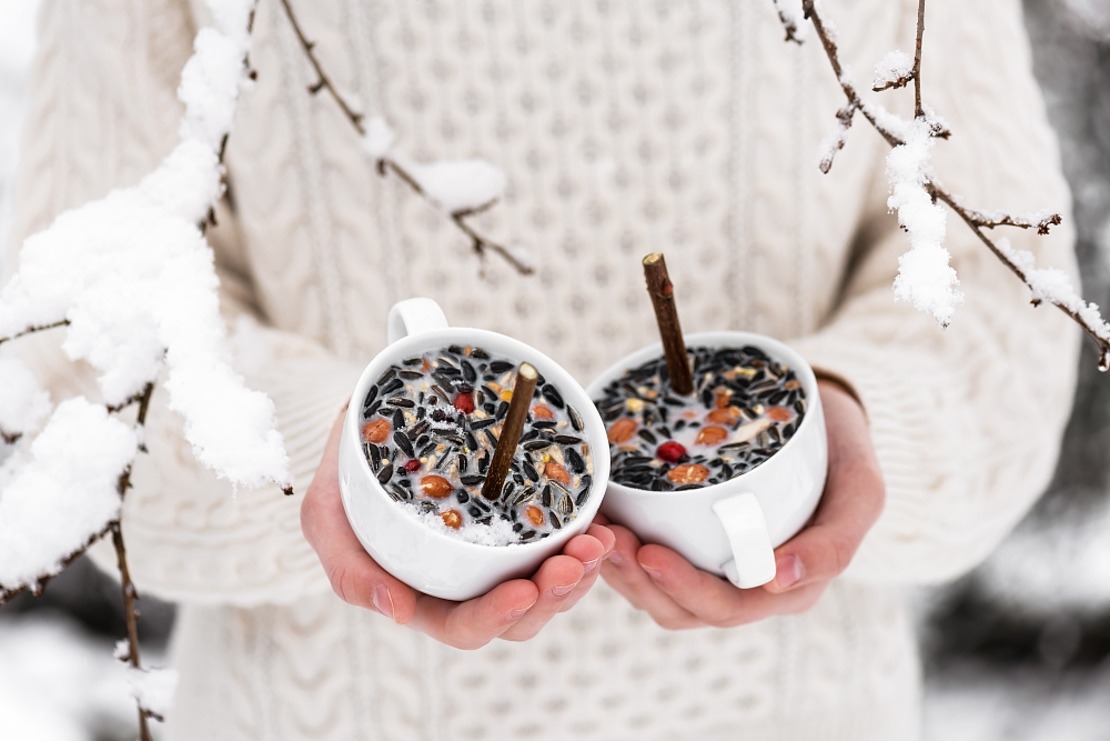 Eine Person in einem weißen Strickpullover hält zwei weiße Tassen, die mit Vogelfutter, Nüssen und Stöcken gefüllt sind. Schneebedeckte Äste rahmen die Szene ein, und der Hintergrund ist mit Schnee verwischt.