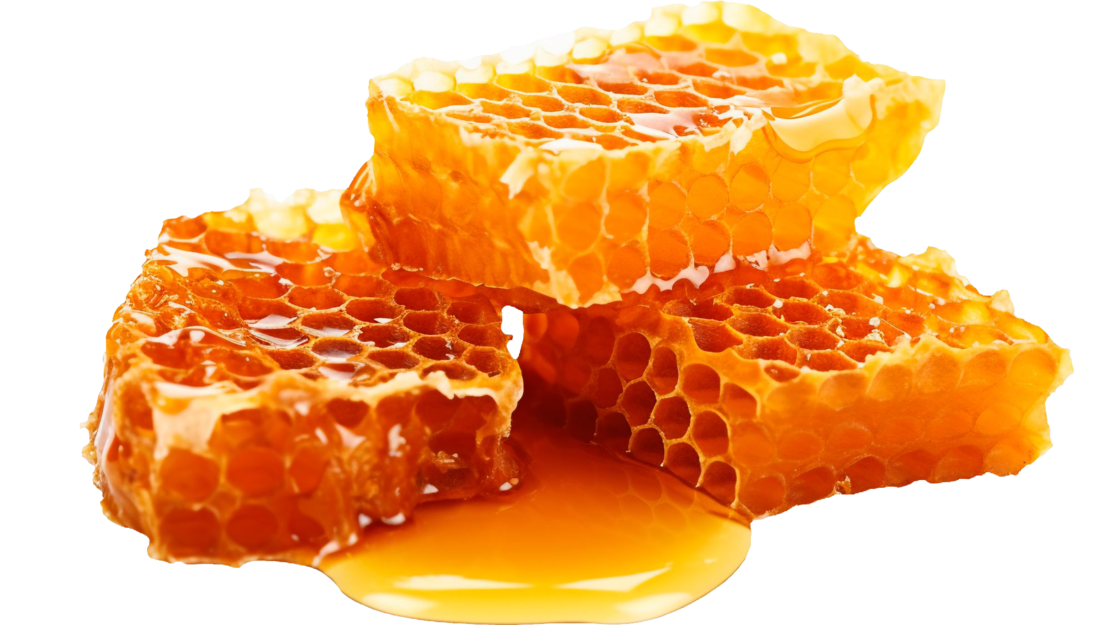 Honigwaben mit Honig
