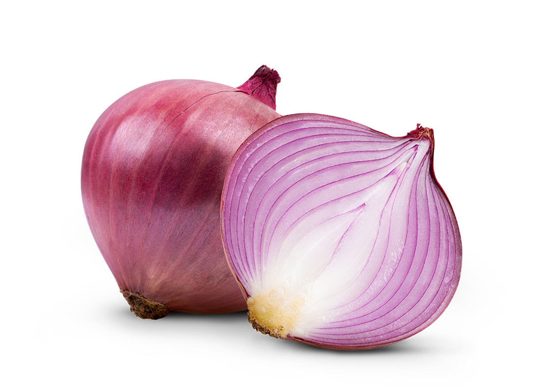 Eine ganze rote Zwiebel und eine rote Zwiebelhälfte sind nebeneinander auf weißem Hintergrund abgebildet, wobei die violetten und weißen Schichten im Inneren der geschnittenen Hälfte zu sehen sind.