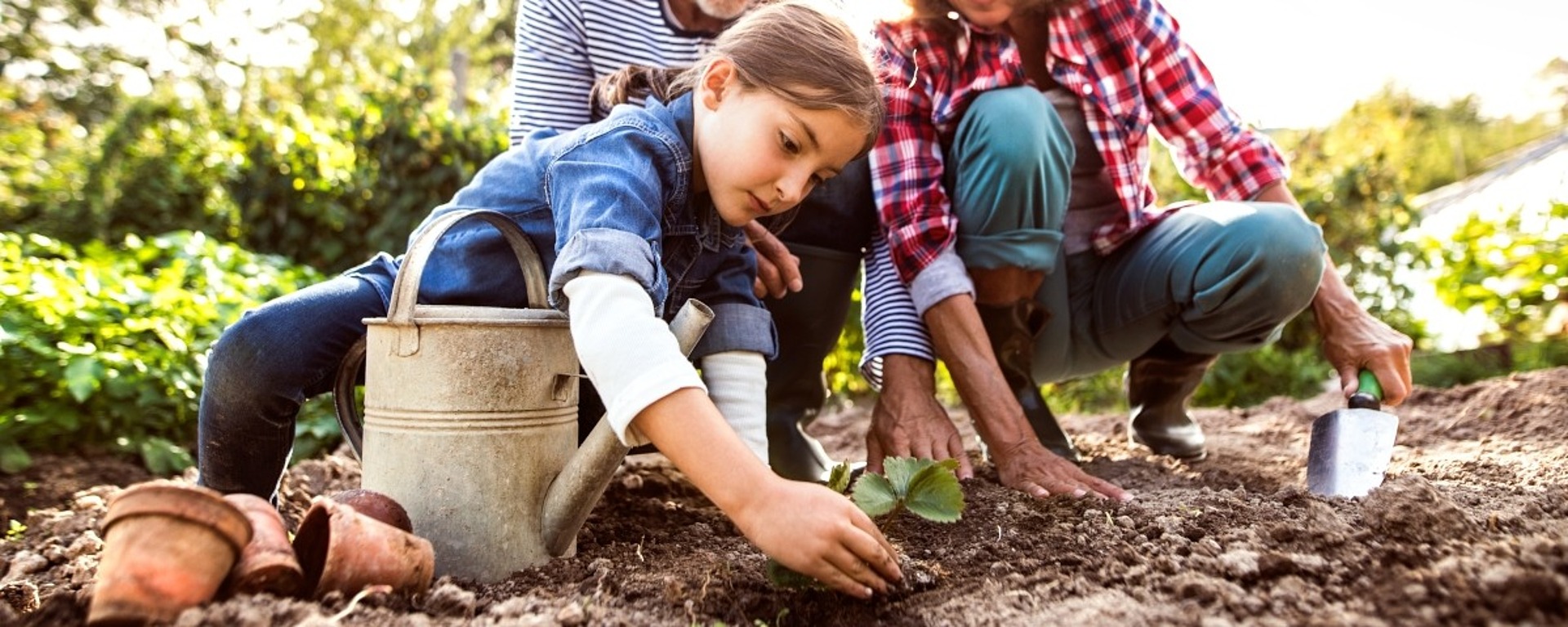 Ein junges Mädchen pflanzt mit Hilfe eines älteren Mannes und einer älteren Frau einen Setzling in einem Garten. Sie sind an einem sonnigen Tag im Freien, umgeben von Grünzeug, Gartengeräten und einer Gießkanne.