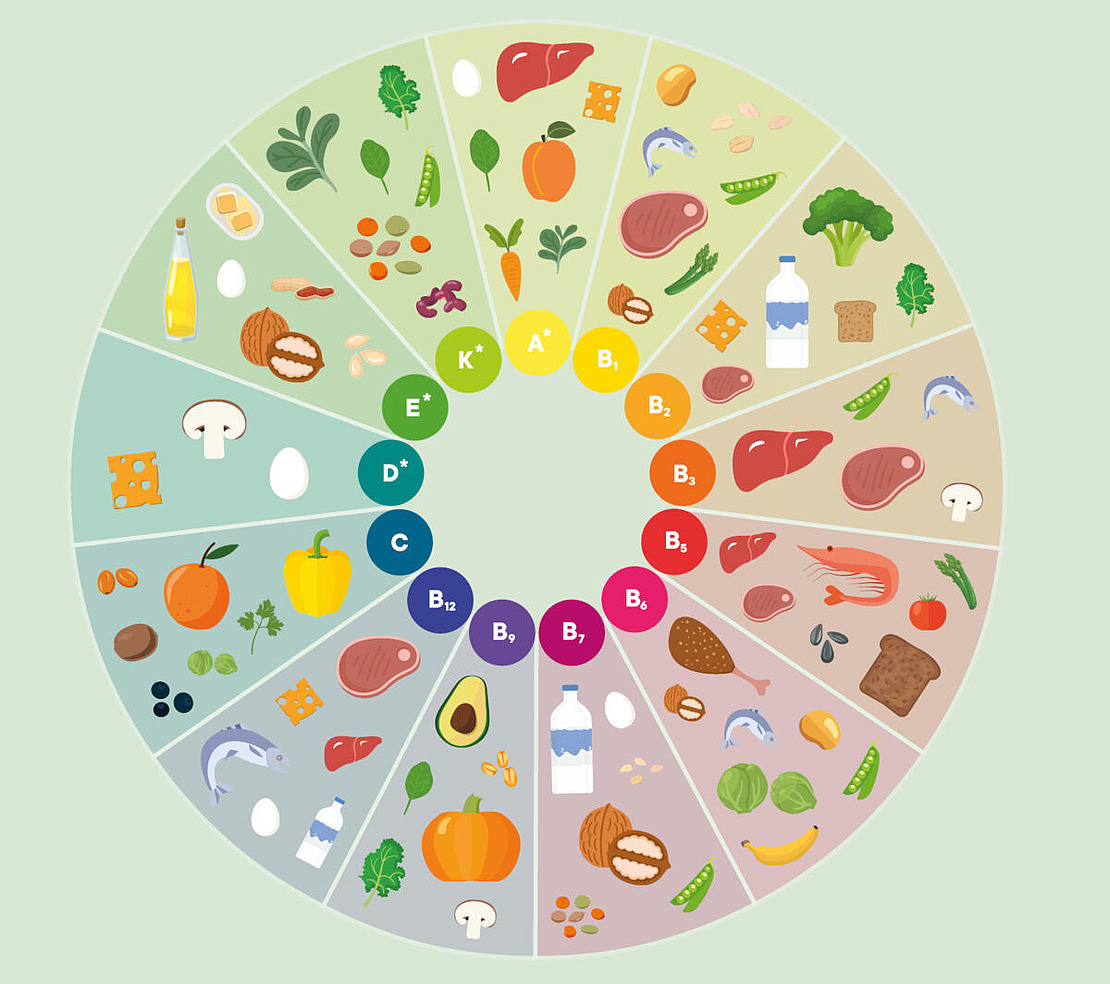 Farblich illustrierte Übersicht worin welche Vitamine zu finden sind