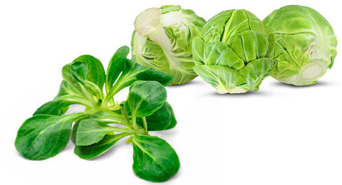 Rosenkohl und Feldsalat