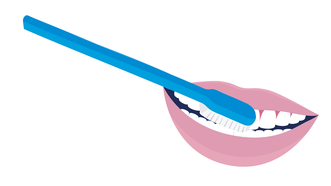 Eine Illustration einer blauen Zahnbürste, die die Zähne eines lächelnden Mundes mit rosa Lippen putzt, dargestellt vor einem weißen Hintergrund.
